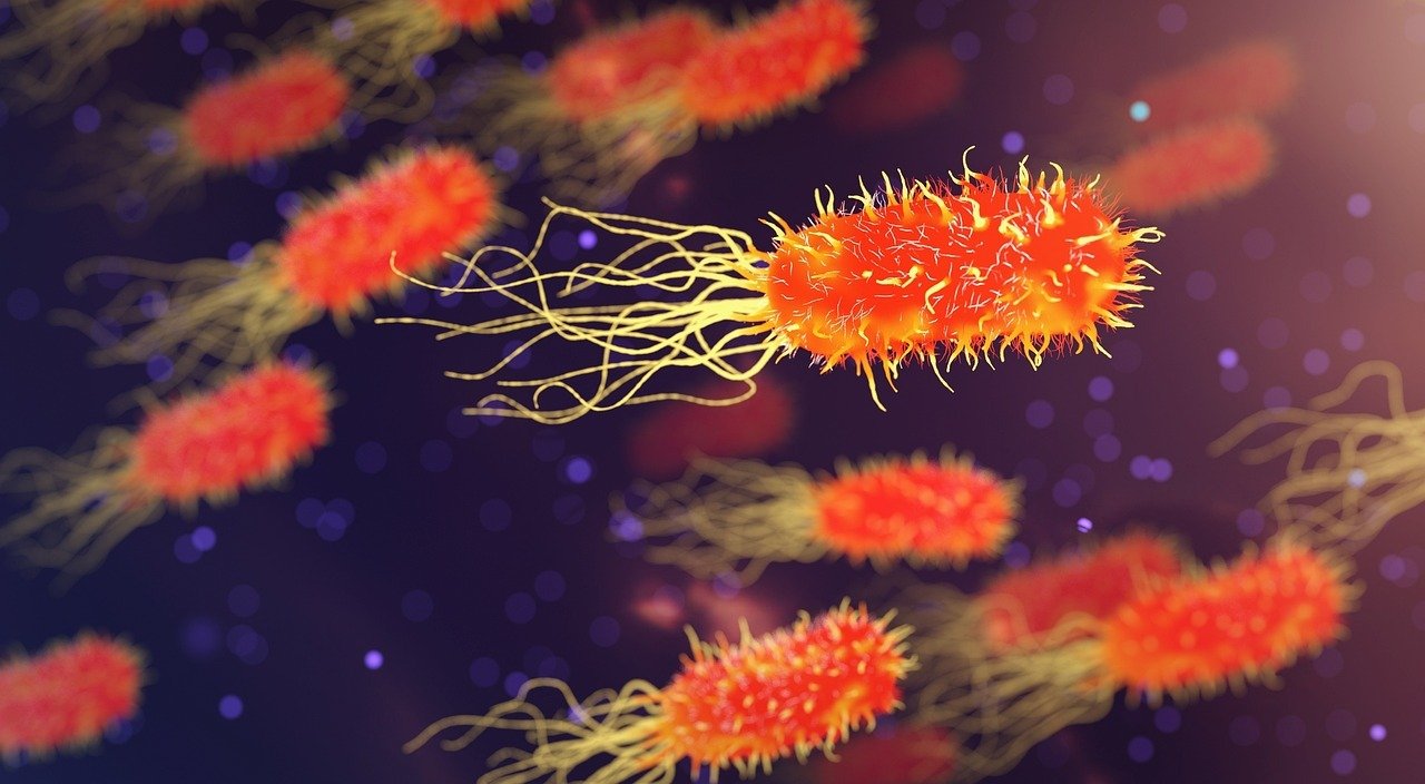 Common Symptoms of Microscopic Polyangiitis