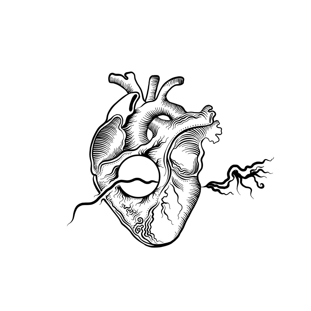 The Impact of Statins on Heart Health