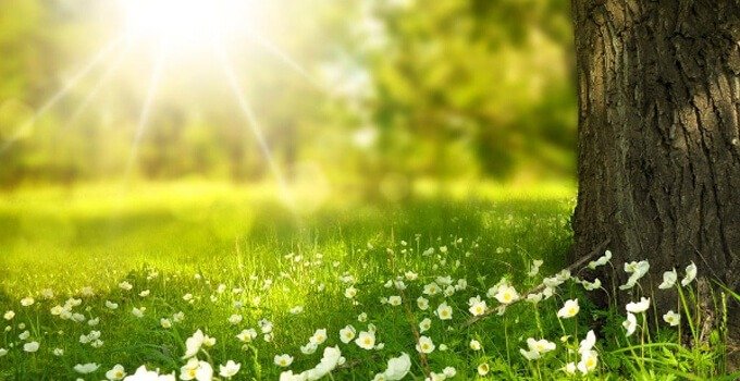 The Power of Mindful Living: Embracing the Present Moment