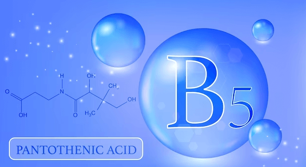 Pantothenic Acid Power: Exploring Vitamin B5&#8217;s Role in Metabolic Health