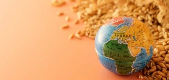 تاريخ الجغرافيا الاقتصادية