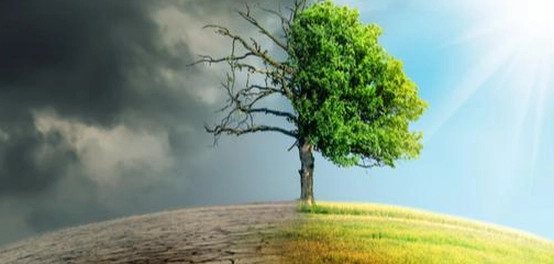 تأثير تغير المناخ على البيئة