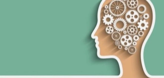 تأثير الفلسفة البراجماتية على التربية العربية