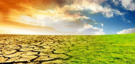 تأثير ارتفاع درجة حرارة الأرض