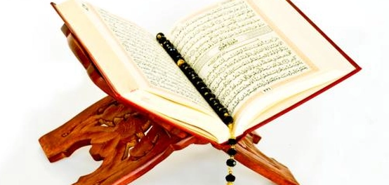 الإعجاز العلمي في القرآن الكريم: دلائل مبهرة على قدرة الله
