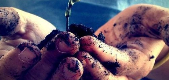 طرق فعالة لنشر الخير في المجتمع