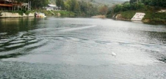 بحيرة بنشعي: واحة طبيعية في شمال لبنان