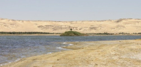 بحيرة البردويل: كنوز طبيعية وثروة سمكية
