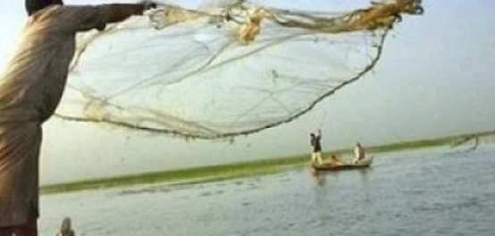 بحيرات الأسماك: موطن غني بالحياة