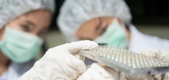 مجالات العمل: دليل شامل لخيارات وظيفية متنوعة