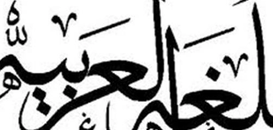 بحث عن اللغة العربية