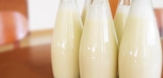 صناعة اللبن: رحلة من الحليب إلى الطاولة