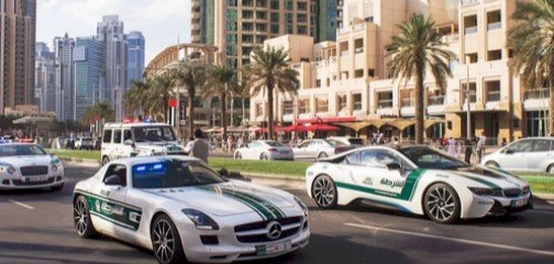 شرطة دبي: مؤسسة أمنية رائدة