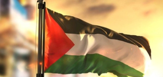دولة فلسطين: تاريخ، جغرافيا، وثقافة