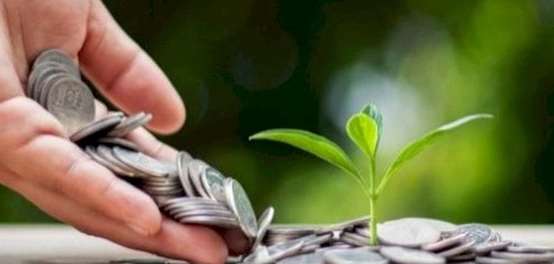 أدوات الاستثمار المالي في الفقه الإسلامي