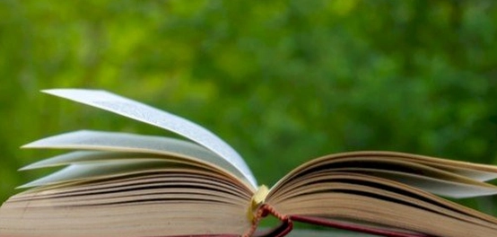 أقوال أحلام مستغانمي: رحلة في عالم الأفكار