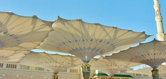 أحاديث شريفة عن الجنة والعلم