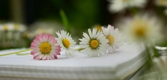قصائد حب