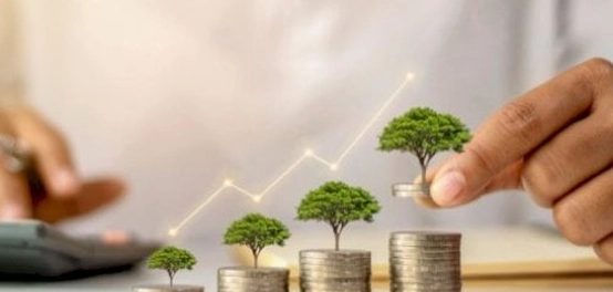 الفرق بين النمو الاقتصادي والتنمية الاقتصادية