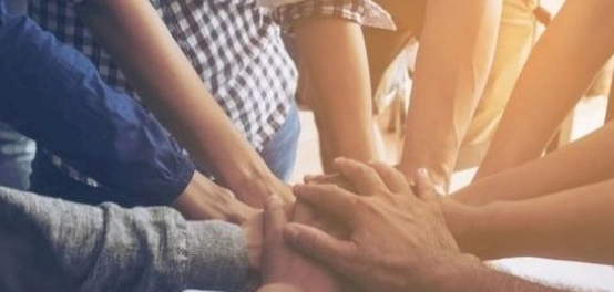 الفرق بين النقابات المهنية والعمالية