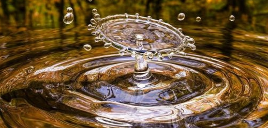 الفرق بين المياه العذبة والمياه المالحة