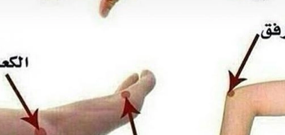 الفرق بين الكوع والبوع