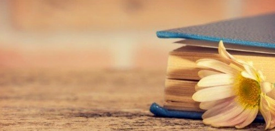 أسئلة ثقافية عن اللسانيات