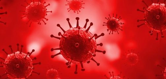 التهاب الدم: الأسباب، الأعراض، العلاج، والوقاية