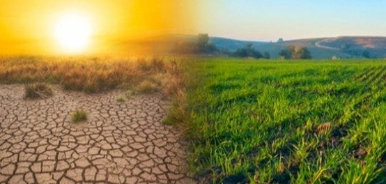 أسباب التصحر وعواقبه وحلول محتملة