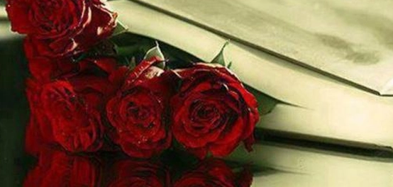 خواطر عشق وغزل: أجمل ما قيل في الحب