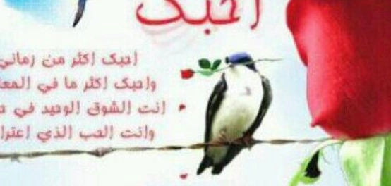 عبارات حب رومانسية قصيرة