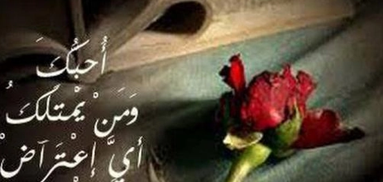 أجمل كلمات الغرام
