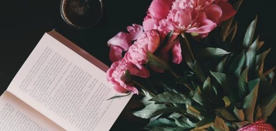 أجمل قصائد الحب عبر التاريخ