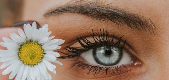 أجمل قصائد الغزل في الشعر العربي