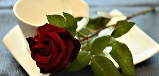 قصائد حب خالدة