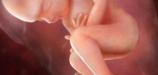 حركة الجنين: دلالات محتملة على النوع
