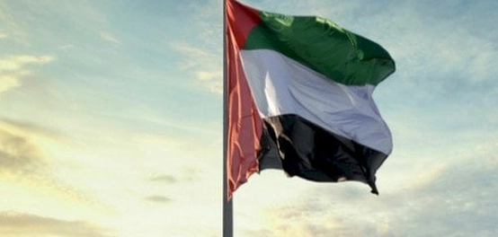 جهود الإمارات الرائدة في الحفاظ على البيئة