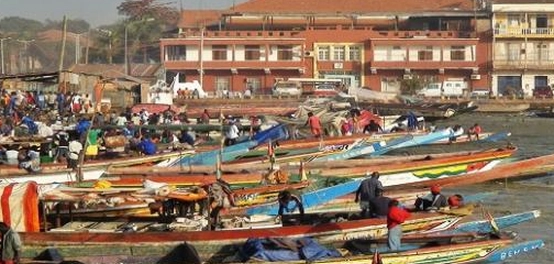 جمهورية غينيا: رحلة عبر الجغرافيا والثقافة