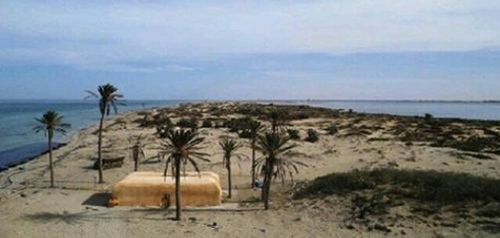 جزيرة فروة: كنوز طبيعية مهددة