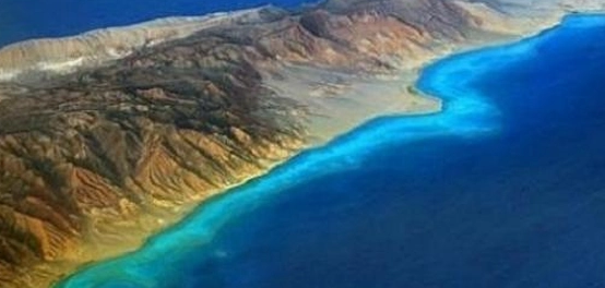 كنوز تيران: جزيرة ساحرة في البحر الأحمر