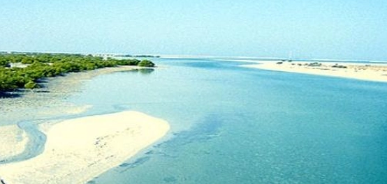 اكتشافات جزيرة الفطيسي الساحرة
