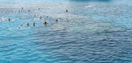 اكتشاف جنة جفتون: الجزيرة الخلابة في البحر الأحمر