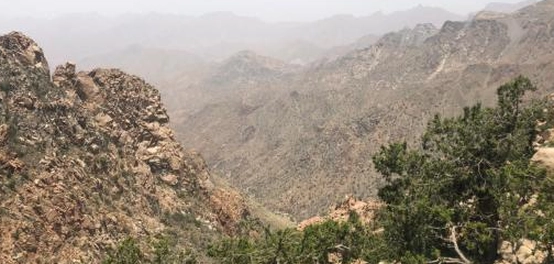 جبل السودة: أعلى قمة في السعودية