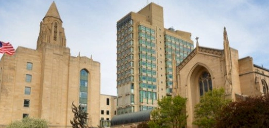 جامعة بوسطن: رحلة في عالم التعليم الأمريكي المتميز