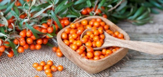 خصائص ثمار النبق وفوائدها