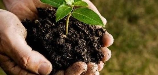 خيرات إحسان المعروف