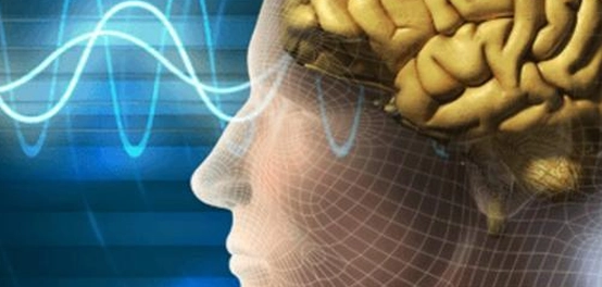 تراجع القدرات الإدراكية لدى الشباب: الأسباب والحلول