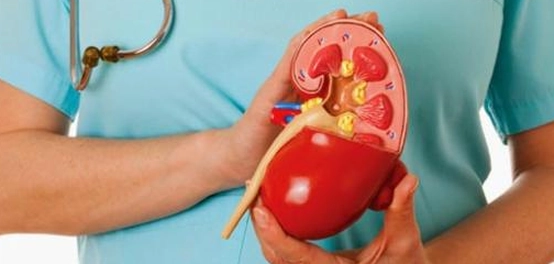 تعزيز مناعة الجسم: الأسباب، عوامل الخطر، الوقاية، والحساسية
