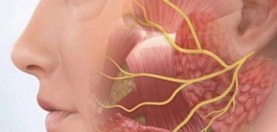 أسباب وخيارات علاج تنميل الوجه
