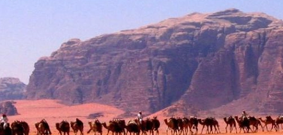الانتقال الحضري: أسباب ودوافع التوجه نحو المدن